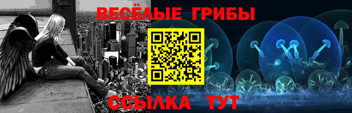 Чистополь  Псилоцибиновые грибы ЛСД  Галлюциногенные грибы GOLDEN TEACHER  Вход с VPN 